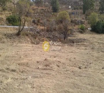 Residential 1000m<sup>2</sup> for sale photo 2