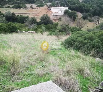Residential 3025m<sup>2</sup> for sale photo 2871364