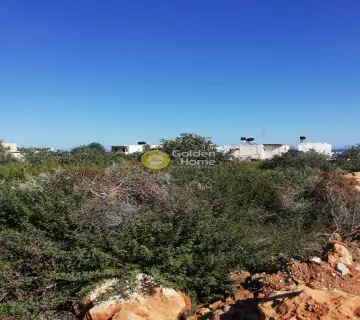 Residential 1396m<sup>2</sup> for sale photo 3