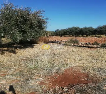 Residential 1396m<sup>2</sup> for sale photo 7