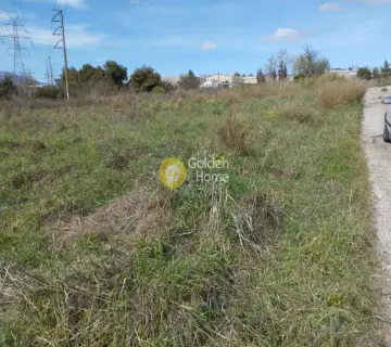 Επαγγελ. Οικόπεδο 4200τ.μ. προς πώληση φωτογραφία 3569778