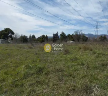 Επαγγελ. Οικόπεδο 4200τ.μ. προς πώληση φωτογραφία 3569778