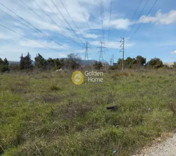 Επαγγελ. Οικόπεδο 4200τ.μ. προς πώληση φωτογραφία 3569778