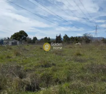 Επαγγελ. Οικόπεδο 4200τ.μ. προς πώληση φωτογραφία 3569779