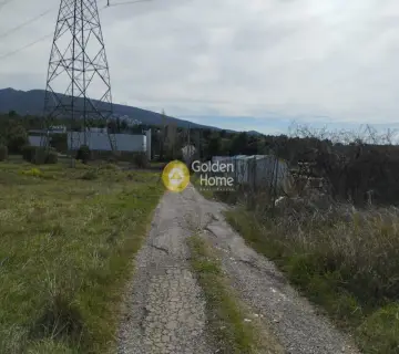 Επαγγελ. Οικόπεδο 4200τ.μ. προς πώληση φωτογραφία 3569780