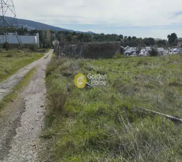 Επαγγελ. Οικόπεδο 4200τ.μ. προς πώληση φωτογραφία 3569780