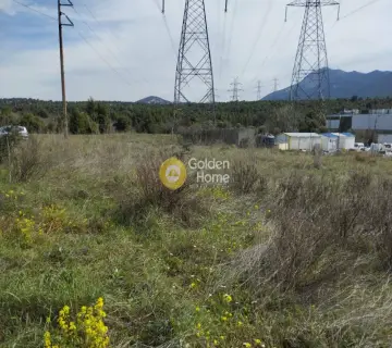 Επαγγελ. Οικόπεδο 4200τ.μ. προς πώληση φωτογραφία 3569781