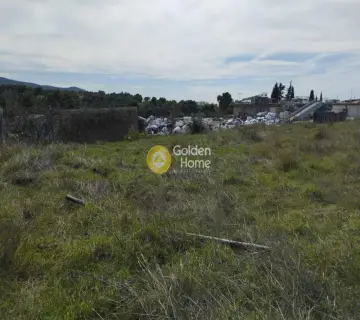 Επαγγελ. Οικόπεδο 4200τ.μ. προς πώληση φωτογραφία 3569781
