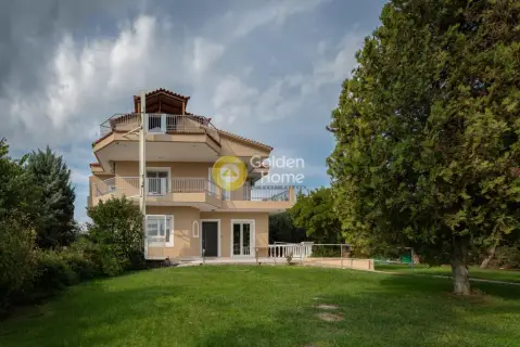 Golden Home Property Image