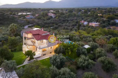 Golden Home Property Image