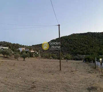 Residential 10500m<sup>2</sup> for sale photo 3