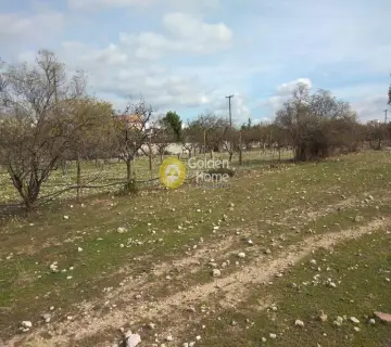 Parcel 7000m<sup>2</sup> for rent photo 3