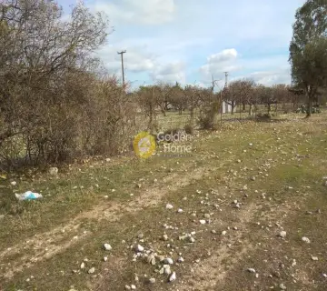 Parcel 7000m<sup>2</sup> for rent photo 4