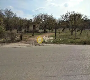 Parcel 7000m<sup>2</sup> for rent photo 16