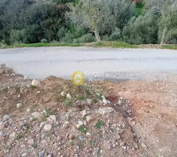Area 24200m<sup>2</sup> for sale photo 20