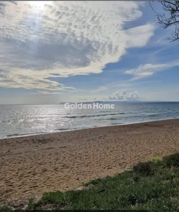 Store 940m<sup>2</sup> for sale photo 1