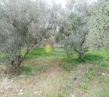 Professional Plot 11810m<sup>2</sup> for sale photo 2885985
