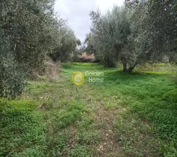 Professional Plot 11810m<sup>2</sup> for sale photo 2885987