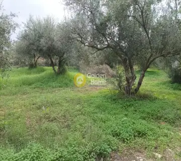 Professional Plot 11810m<sup>2</sup> for sale photo 2885988