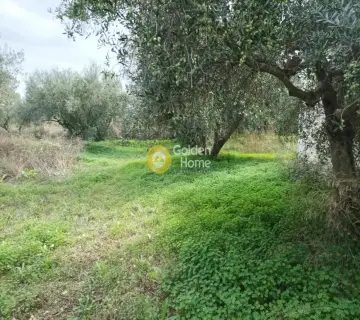 Professional Plot 11810m<sup>2</sup> for sale photo 2885993