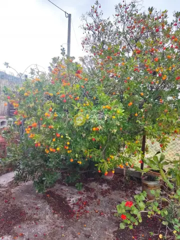 House 90m<sup>2</sup> for sale photo 21