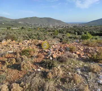 Area 76000m<sup>2</sup> for sale photo 1
