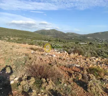 Area 76000m<sup>2</sup> for sale photo 3