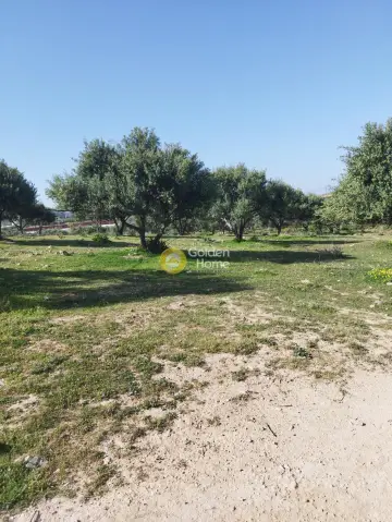 Residential 18500m<sup>2</sup> for sale photo 31