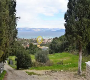 Professional Plot 13000m<sup>2</sup> for sale photo 1