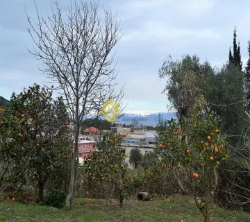 Professional Plot 13000m<sup>2</sup> for sale photo 9