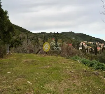 Professional Plot 13000m<sup>2</sup> for sale photo 8
