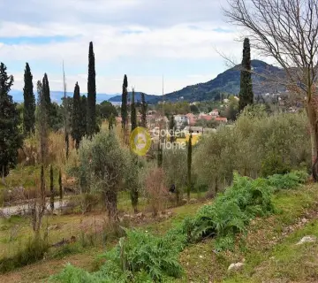 Professional Plot 13000m<sup>2</sup> for sale photo 5