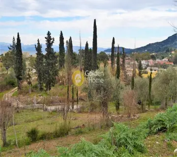 Professional Plot 13000m<sup>2</sup> for sale photo 4
