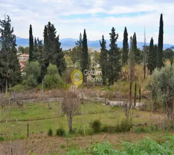 Professional Plot 13000m<sup>2</sup> for sale photo 10
