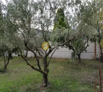 Parcel 9000m<sup>2</sup> for sale photo 2898136