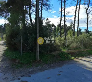 Residential 2035m<sup>2</sup> for sale photo 2920145