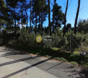 Residential 2035m<sup>2</sup> for sale photo 2920146