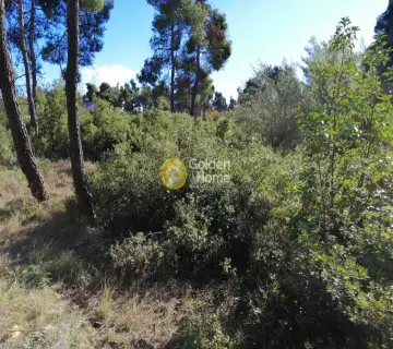 Residential 2035m<sup>2</sup> for sale photo 2920148