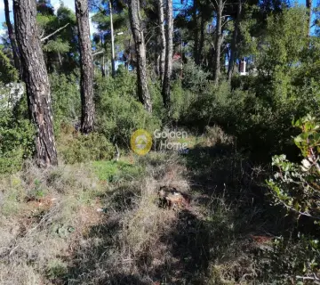 Residential 2035m<sup>2</sup> for sale photo 2920149