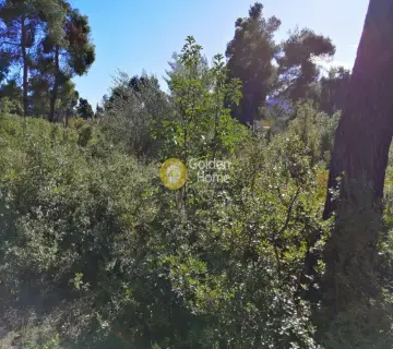 Residential 2035m<sup>2</sup> for sale photo 2920150