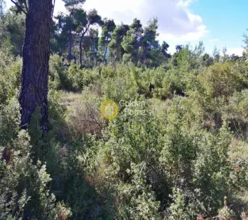 Residential 2035m<sup>2</sup> for sale photo 2920152