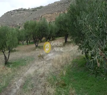 Residential 4000m<sup>2</sup> for sale photo 7