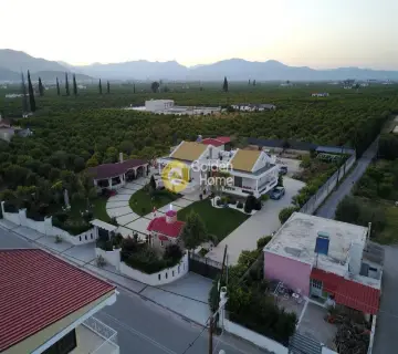 Golden Home Property Image