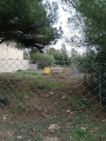 Residential 239m<sup>2</sup> for sale photo 1