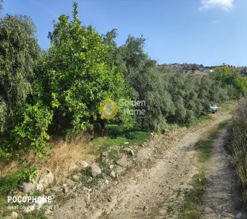 Residential 1700m<sup>2</sup> for sale photo 2896440