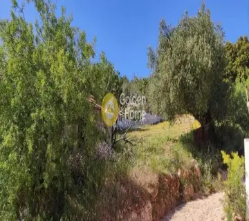 Οικιστικό 5261τ.μ. προς πώληση φωτογραφία 3163102