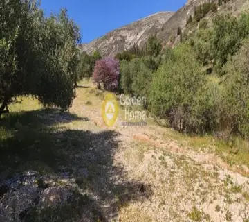 Οικιστικό 5261τ.μ. προς πώληση φωτογραφία 3163103