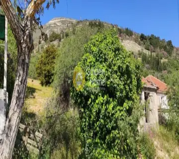 Οικιστικό 5261τ.μ. προς πώληση φωτογραφία 3163100