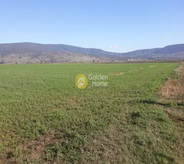 Αγροτεμάχιο 33000τ.μ. προς πώληση φωτογραφία 2901761
