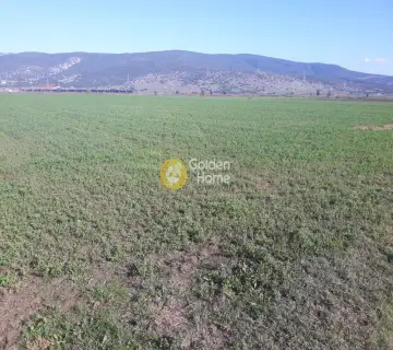 Αγροτεμάχιο 33000τ.μ. προς πώληση φωτογραφία 2901762